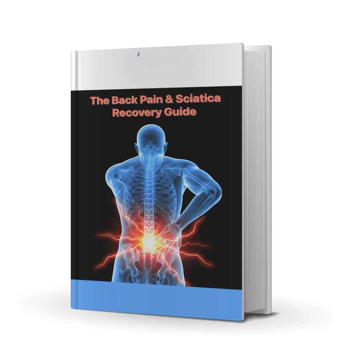 Back Pain & Sciatica Recovery Guide E-book
