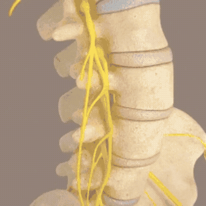 ReviFlex™ 16-Head Deep Tissue Massager 22 Adobe Express 202512030423